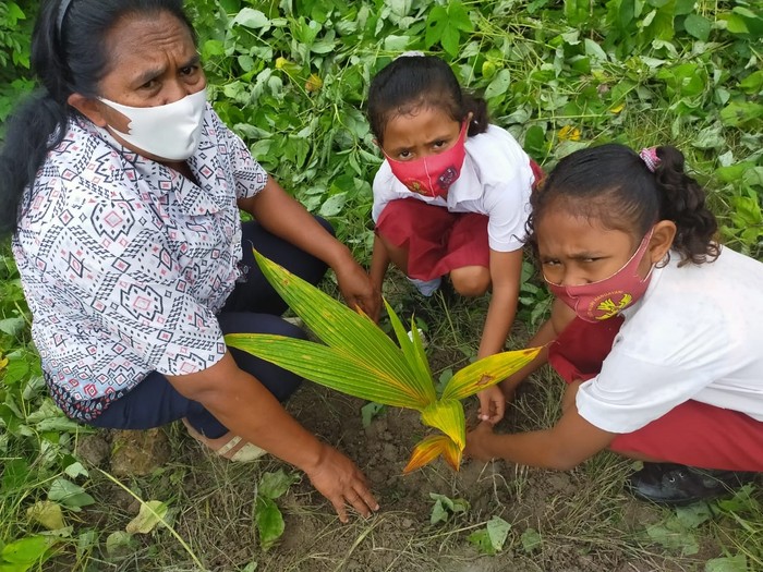 Sejumlah siswa mengikuti Gerakan Penghijauan Indonesia dengan melakukan penanaman pohon di lingkungan sekitar SDN Sonranen Amarasi Selatan, Nusa Tenggara Timur, Selasa (26/1/2021).