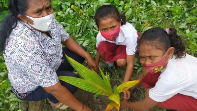 Siswa SD di NTT Lakukan Penghijauan Sejak Dini