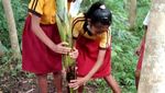 Siswa SD di NTT Lakukan Penghijauan Sejak Dini
