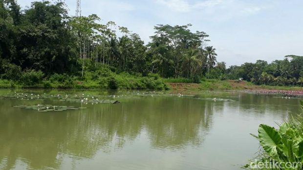 Situ Bojongmengger Ciamis