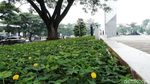 Begini Wajah Baru Monumen Perjuangan di Bandung