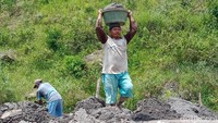 Harga pasir berkisar Rp 550 ribu per rit truk. Jumlah warga yang menambang di Sungai Woro mencapai ratusan orang.