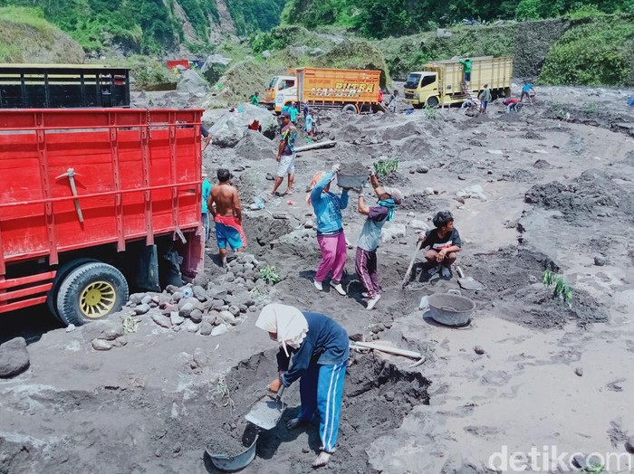 Warga ramai-ramai mengambil pasir yang terbawa anjir lahar hujan Gunung Merapi di Sungai Woro, Klaten, Selassa (26/1/2021).