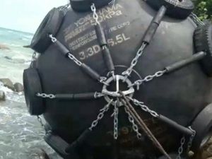 Tentang Dapra, Bola Hitam yang Bikin Heboh di Pantai Bintan