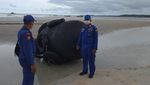 Ini Dapra, Bola Hitam Besar Terdampar di Pantai Kepri
