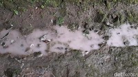 Terpantau daerah yang yang diguyur hujan abu vulkanik antara lain sejumlah desa di Kecamatan Tamansari dan Musuk, Boyolali.