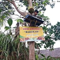 Ini sih bikin bingung banget. Nggak paham sama alasannya kenapa harus bikin warung di atas pohon, kayak nggak ada tempat lain yang lebih mudah dijangkau deh. Auto bengek melihatnya. Foto: Twitter/@anam_chenel