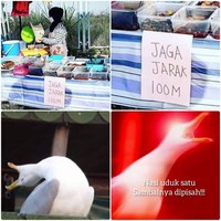 Memang benar sih kita harus jaga jarak di situasi pandemi saat ini. Tapi ya nggak 100 meter juga dong. Kalau jaga jaraknya 100 meter jadi agak PR ya harus teriak-teriak pas pesan makanannya. Foto: Twitter/@ternakayammm