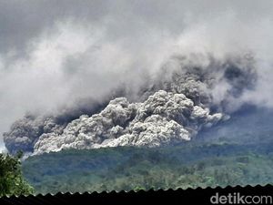 Waspada Gunung Merapi, Ini Tips Hadapi Erupsi Gunung Berapi