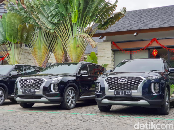 Hyundai Palaside