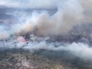 Kebakaran Hutan di Argentina Kini Mencapai 11.000 Hektare
