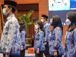 Simak Yuk, Panduan Cek Hasil Seleksi CPNS 2021