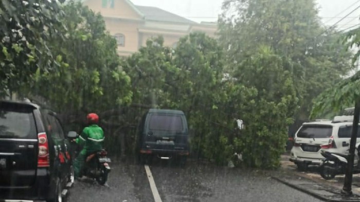 Pohon tumbang di Pasar Kabangan Solo timpa dua mobil parkir, Rabu (27/1/2021).