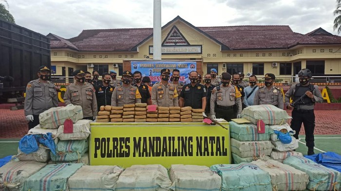Polres Madina tangkap 3 orang terkait 570 Kg ganja (dok. Istimewa)