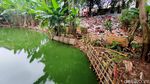 Waduh, Sampah Menumpuk di Pinggir Empang Jatimakmur