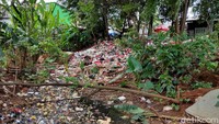 Sejauh ini belum terlihat adanya upaya untuk membersihkan sampah di area tersebut.