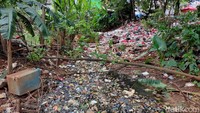 Penampakan sampah yang memenuhi pinggir empang di kawasan Jatimakmur, Pondok Gede, Bekasi, Rabu (27/1/2021).