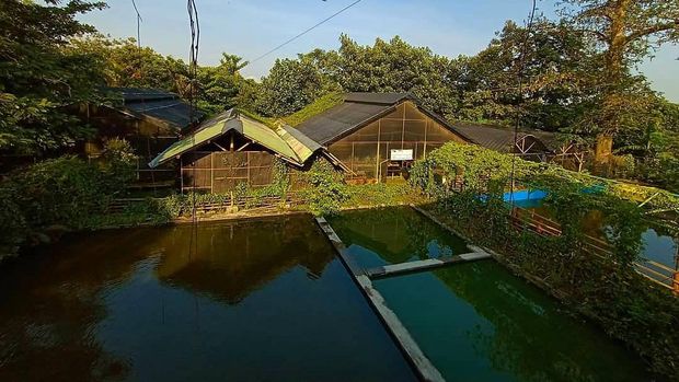 Kampoeng Anggrek