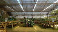 Traveler pecinta anggrek bisa mengunjungi Kebun Anggrek Kediri. Di sini, kamu bisa menyegarkan diri dengan melihat anggrek-anggrek yang cantik. (Kampoeng Anggrek Kediri/instagram)