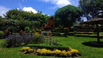 Foto: Spot Cantik untuk Pecinta Anggrek di Kediri