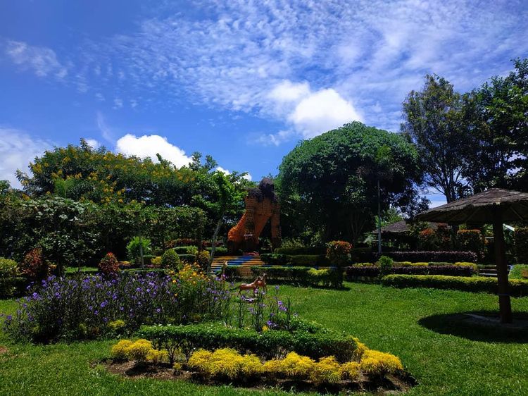 Foto: Spot Cantik untuk Pecinta Anggrek di Kediri