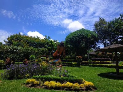 Foto: Spot Cantik untuk Pecinta Anggrek di Kediri