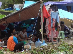 Rumah Roboh-Sulit Air Bersih, Korban Gempa Sulbar Pilih Tetap di Pengungsian