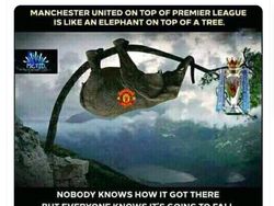 Meme Kocak MU Cuma Sebentar di Puncak