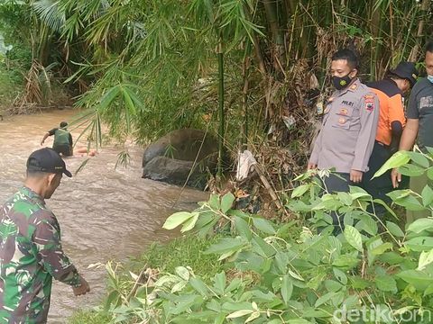 Pencarian seorang santri yang hilang hanyut di Sungai Kalilebeng, Batang, Kamis (28/1/2021).