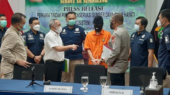 Polda Metro Tangkap Penjual Hewan Langka di Media Sosial