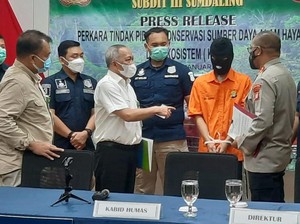 Raup Untung hingga Rp 50 Juta, Begini Modus Penjual Hewan Langka di FB