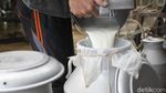 Produksi Susu Sapi Perah di Sleman Tak Terdampak Erupsi Merapi