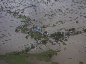 48 Ribu Ha Sawah di Kalsel Terendam Banjir