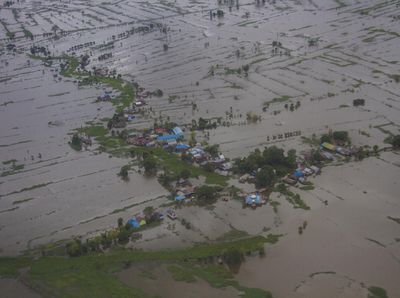 48 Ribu Ha Sawah di Kalsel Terendam Banjir