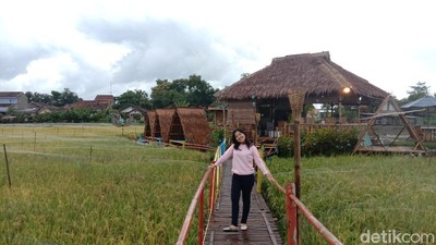 Foto: Kafe Tengah Sawah yang Unik dan Asyik di Kudus