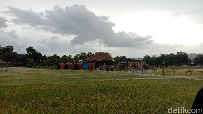 Kafe di tengah sawah Kudus