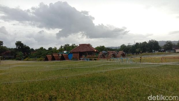Kafe di tengah sawah Kudus