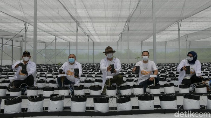 Smart Green House Diresmikan Ridwan Kamil di Garut