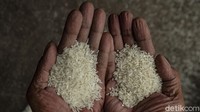 Direktur Utama Rajawali Nusantara Indonesia (RNI) Arief Prasetyo Adi mengapresiasi kinerja jajaran Kementerian Pertanian (Kementan) di bawah pimpinan Syahrul Yasin Limpo. Arief memuji pemenuhan produksi pangan khususnya beras oleh Kementan.
