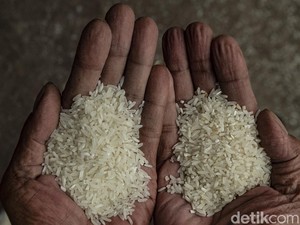 Kementan Amankan Stok Beras di Ramadhan, Gimana Caranya?
