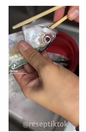 Tips Praktis Bersihkan Insang Ikan Kembung Pakai Sumpit