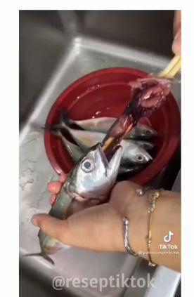 Tips Praktis Bersihkan Insang Ikan Kembung Pakai Sumpit
