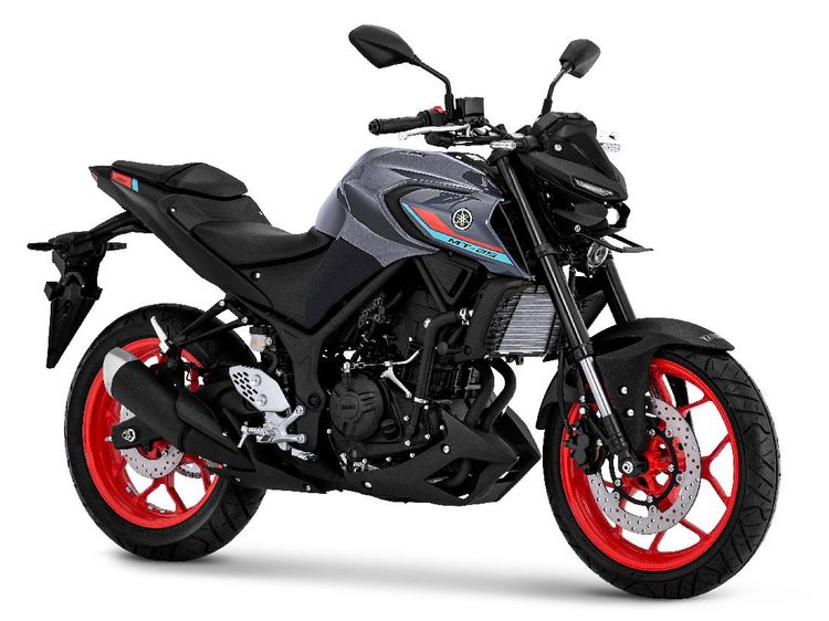 Tampilan Baru Yamaha MT-25