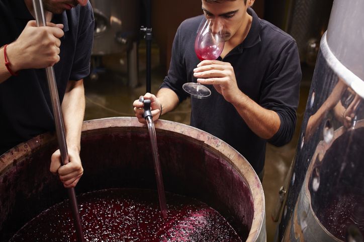 7 Fakta Wine, Minuman yang Diduga Dibeli Edhy Prabowo Pakai Uang Suap