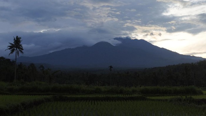 AKTIVITAS GUNUNG RAUNG Gunung Raung (3.332 mdpl) terlihat dari Desa Gunung Malang, Sumberjambe, Jember, Jawa Timur, Jumat (29/1/2021). Warga lereng Gunung Raung mendengar suara gemuruh dan bau belerang yang diduga berasal dari aktivitas gunung itu yang berstatus waspada, dan selanjutnya petugas BPBD Jember mengimbau masyarakat agar tidak panik dan tetap tenang. ANTARA FOTO/Seno/aww.