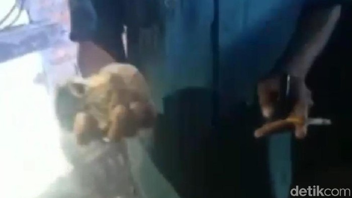 Atap rumah warga Lampung Selatan rusak tertimpa meteorit (Instagram Adi Pras) Atap rumah warga Lampung Selatan rusak tertimpa meteorit (Instagram Adi Pras)