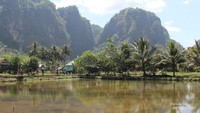 Saat menyusuri sungai kita juga akan disuguhi pemandangan hutan nipa yang padat beserta perbukitan karst yang menjulang.