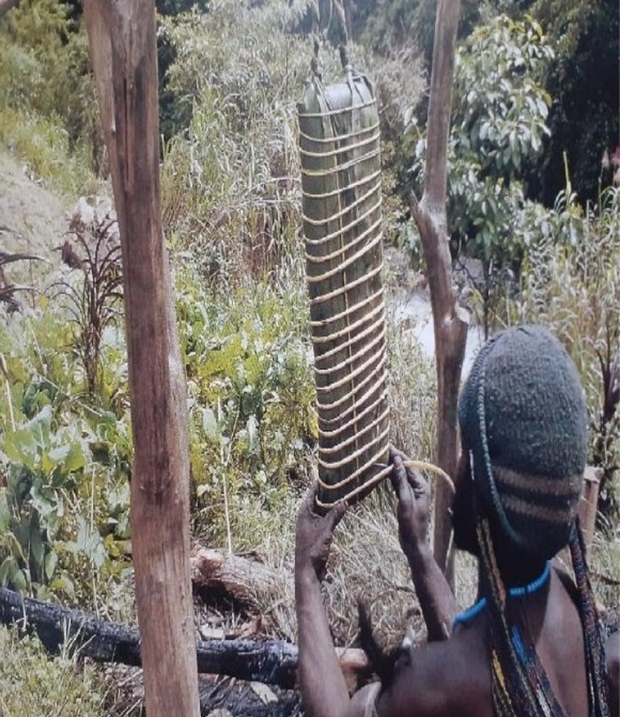 Garam Abu Papua