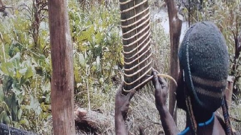 Garam Abu Papua Garam Abu Papua