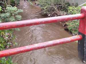 Kali Sampah di Permukiman Warga Kota Depok Mulai Bersih